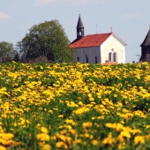 Horní Ředice